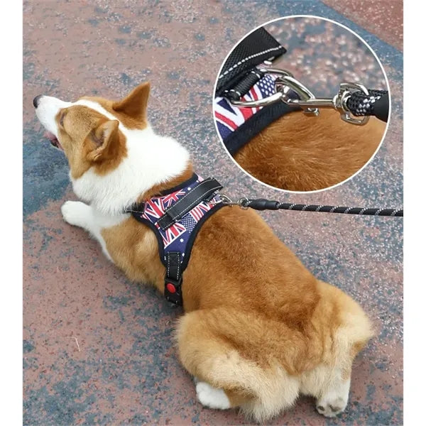 Pet supplies chest harness leash