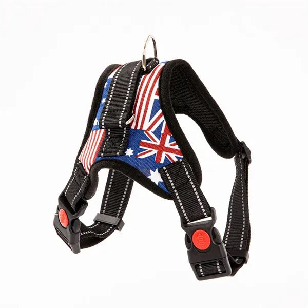 Pet supplies chest harness leash
