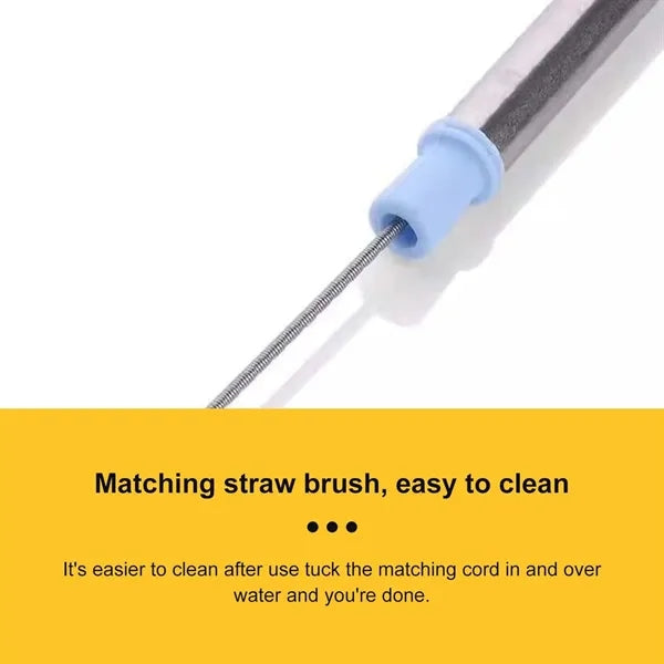 Travel Collapsible Straw With Case
