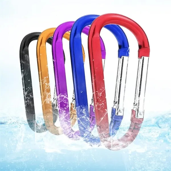 Carabiner Key Chain With Split Ring