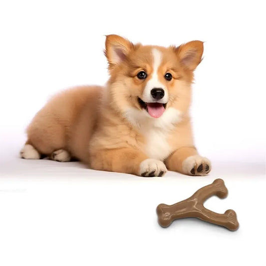 Dog Chew Stick
