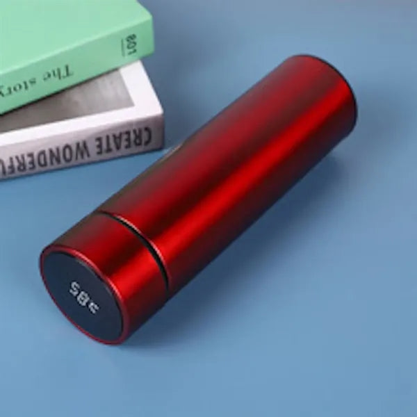 Water Bottle With Temperature Display