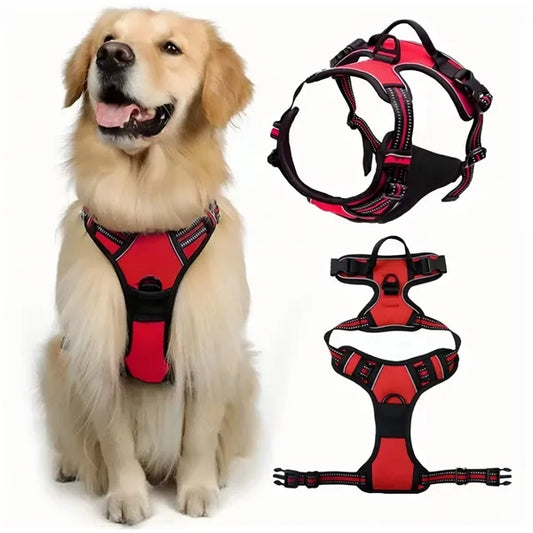 Pet Harness