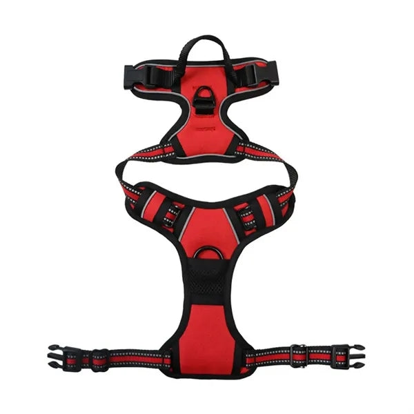 Pet Harness
