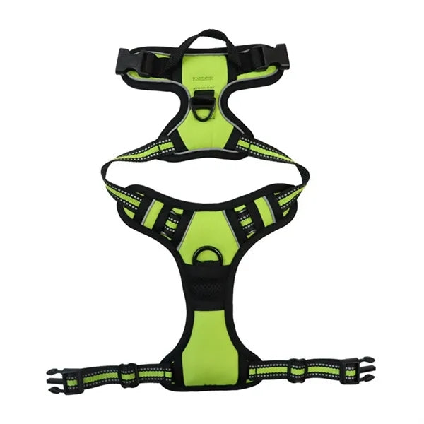 Pet Harness