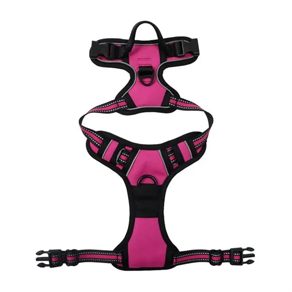 Pet Harness