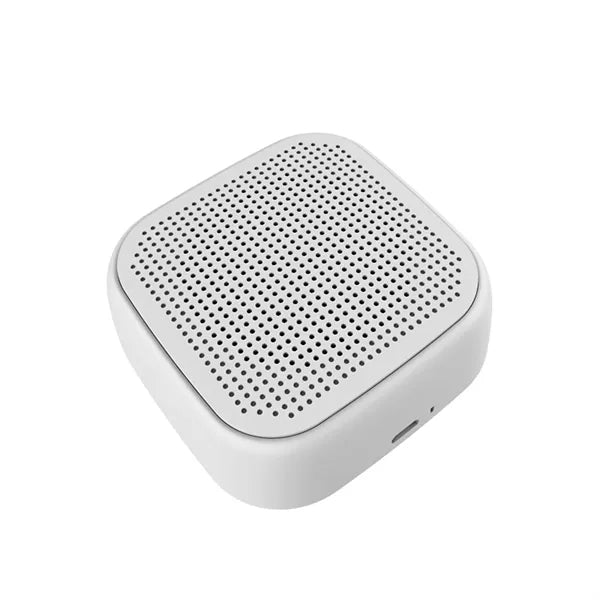 Portable Wireless Mini Speaker