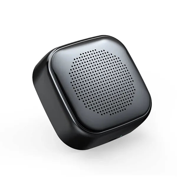 Portable Wireless Mini Speaker