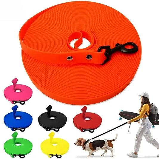 Pet Leash