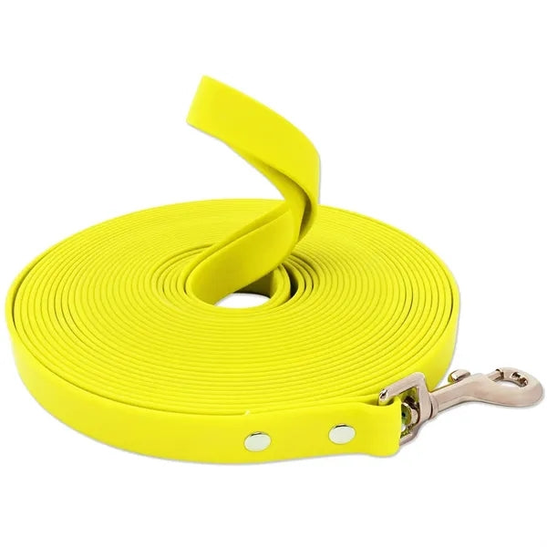 Pet Leash