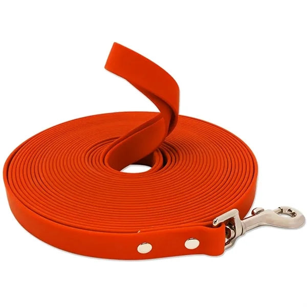 Pet Leash