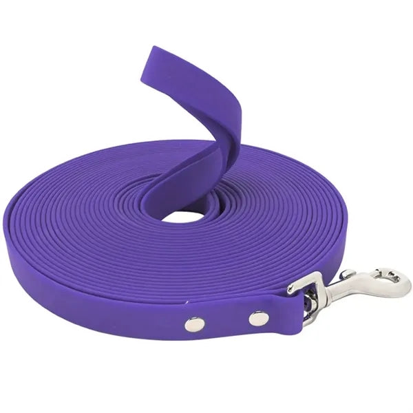 Pet Leash