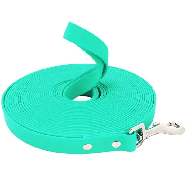 Pet Leash
