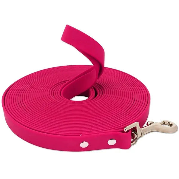 Pet Leash