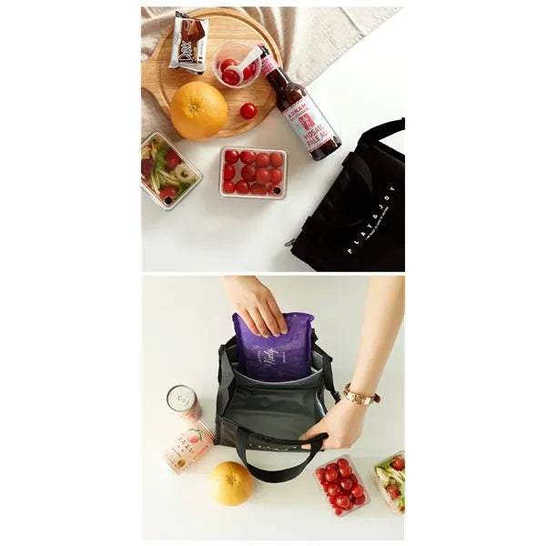 Picnic Cooler bag