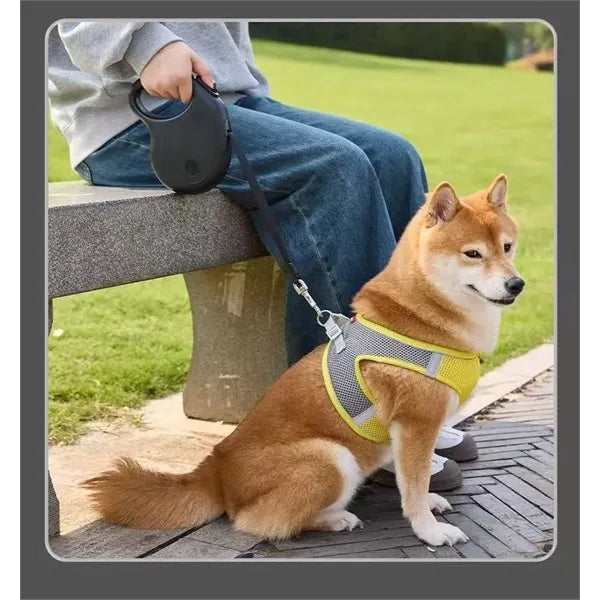 5M automatic retractable pet leash