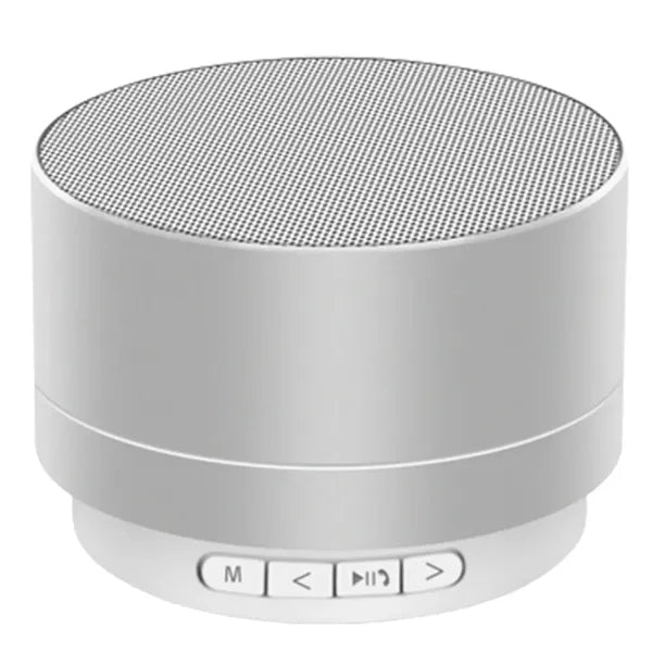 Portable Wireless Speaker