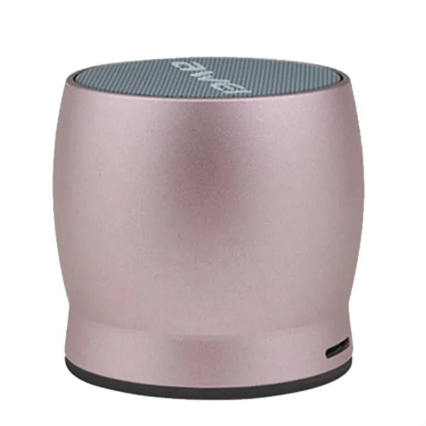 Wireless Mini Speaker