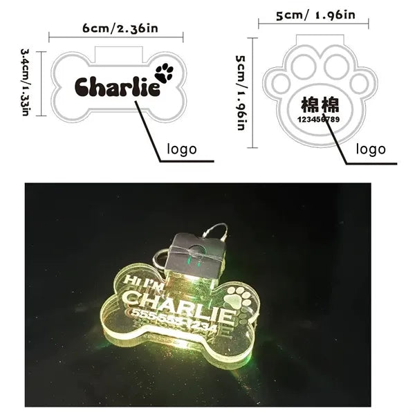 Acrylic Led Dog Leash Collar