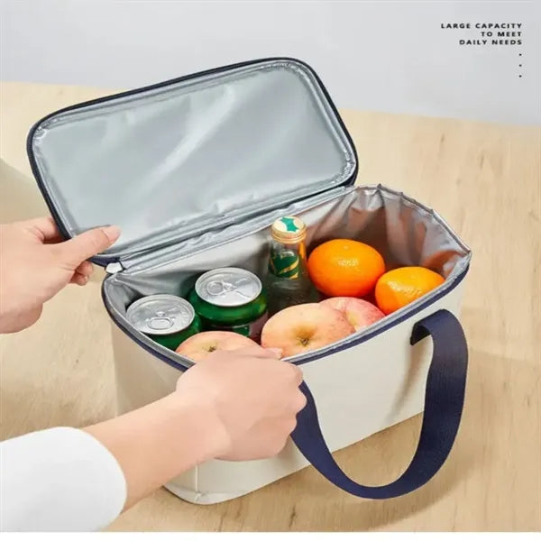 Large Capacity Picnic / Lunch Bag