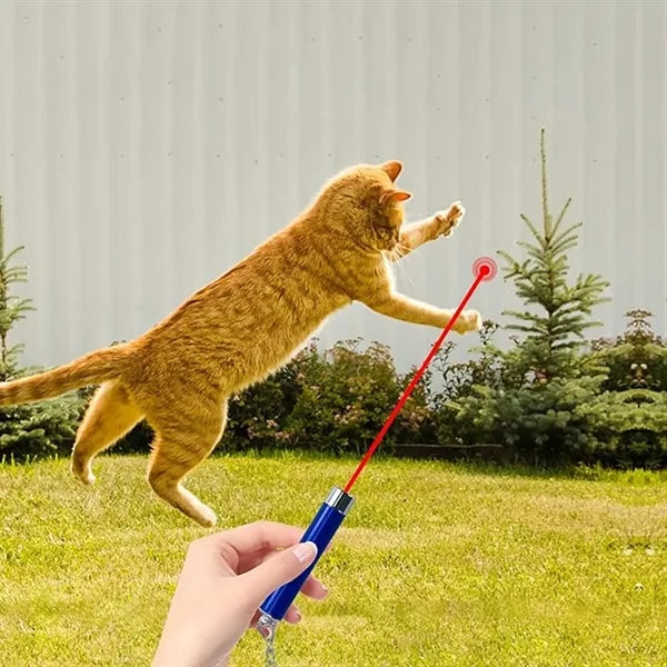 Mini Cat Toys Laser Pointer Pen Keychain Flashlight