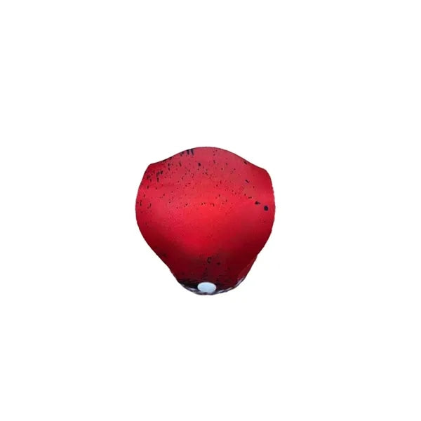 Insulate Can Cooler Koozie with Secure Flap & Button Closure