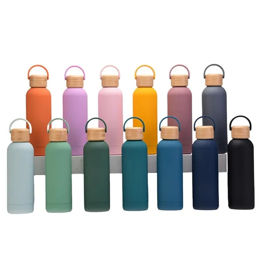 Frosted Insulated Stainless Steel Water Bottle with Handle