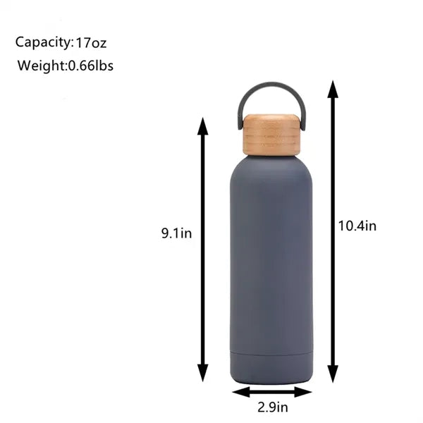 Frosted Insulated Stainless Steel Water Bottle with Handle