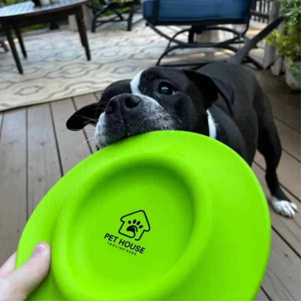 Flying Disc Water Dish