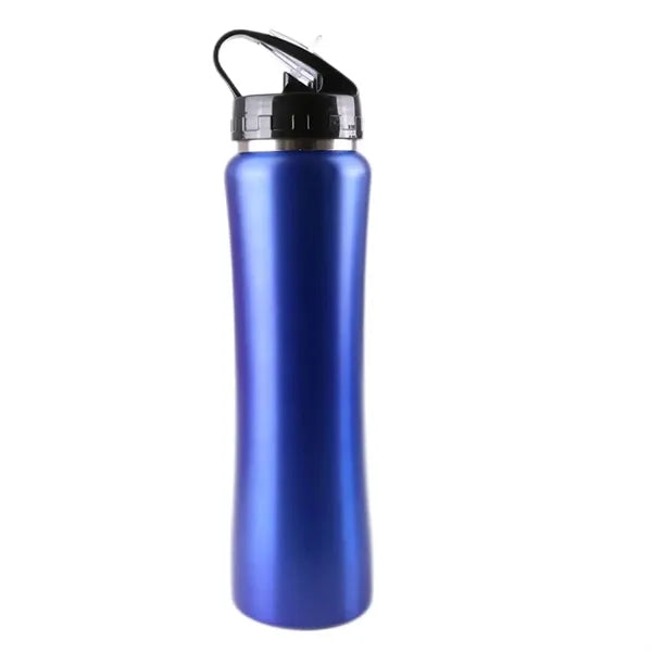 17Oz Insulated Water Bottle