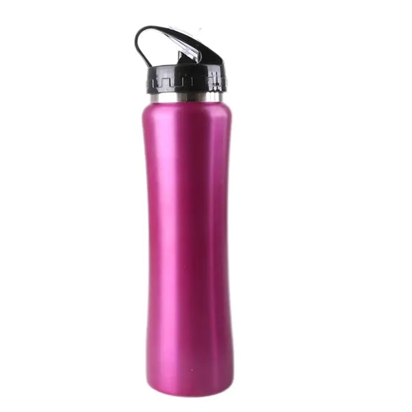 17Oz Insulated Water Bottle
