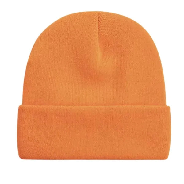 Roll Up Cuff Knit Beanie