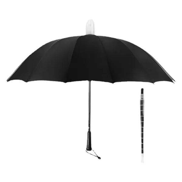 21 Inch Automatic Long Handle Umbrella