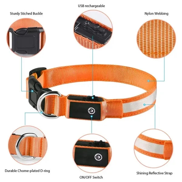 USB Rechargeable LED Dog Collar