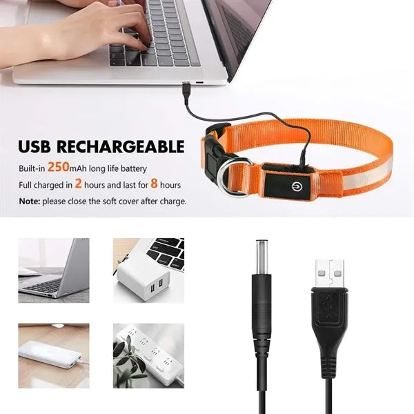 USB Rechargeable LED Dog Collar