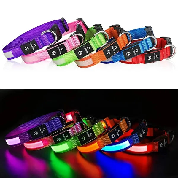USB Rechargeable LED Dog Collar