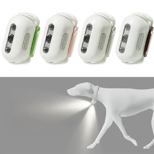 LED Dog Collar: Light Projection