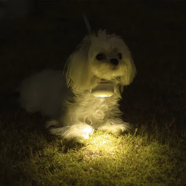 LED Dog Collar: Light Projection