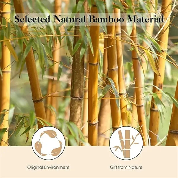 Bamboo Hair Brush for Growth