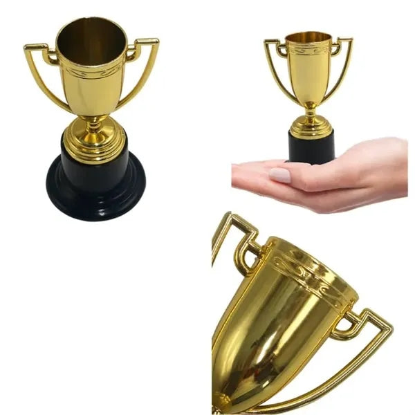Mini Trophies for Awards