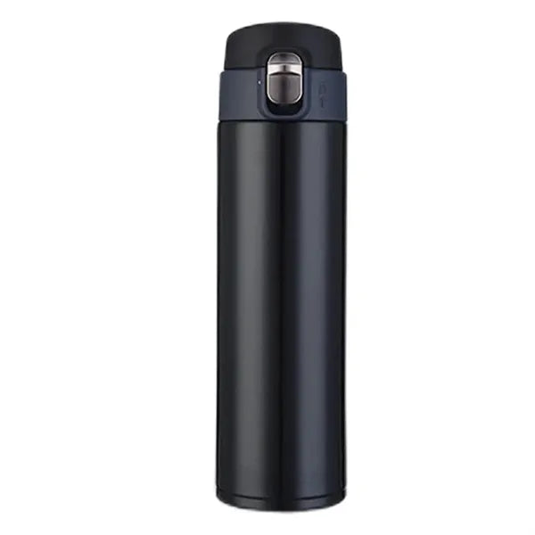 16.9 Oz Insulated Water Bottle