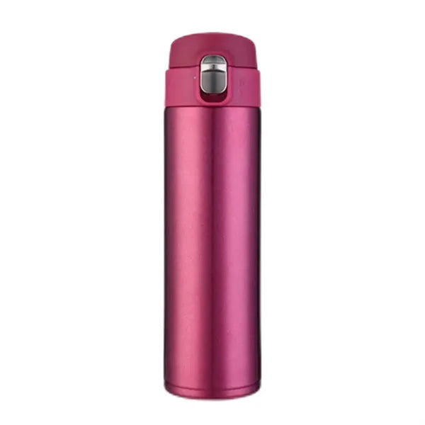 16.9 Oz Insulated Water Bottle