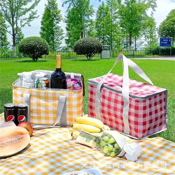 Insulated Cooler Bag and Food Warmer for Picnic