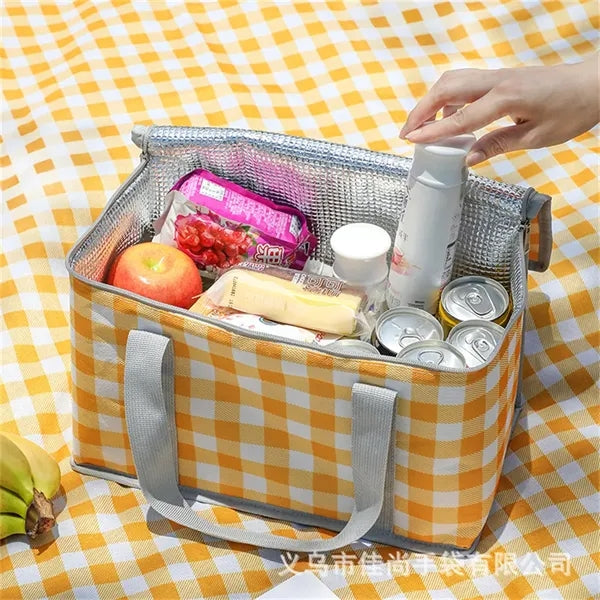 Insulated Cooler Bag and Food Warmer for Picnic