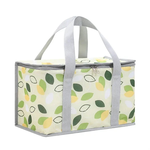 Insulated Cooler Bag and Food Warmer for Picnic