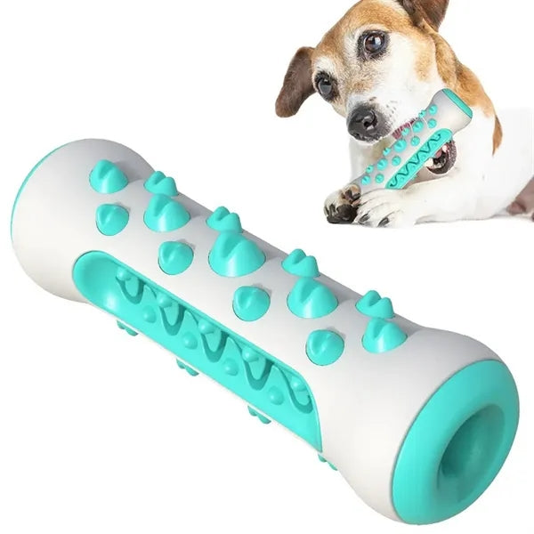 Dog Chew Toys