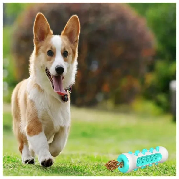 Dog Chew Toys