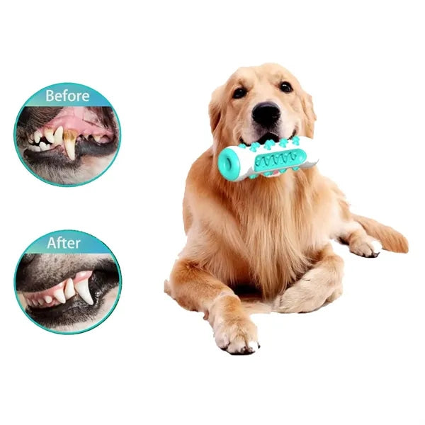 Dog Chew Toys