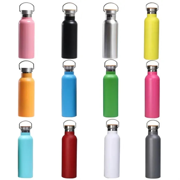 20oz Stainless Steel Insulated Water Bottles with Handle
