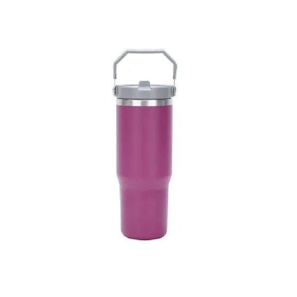 Vacuum Insulated Water Bottle